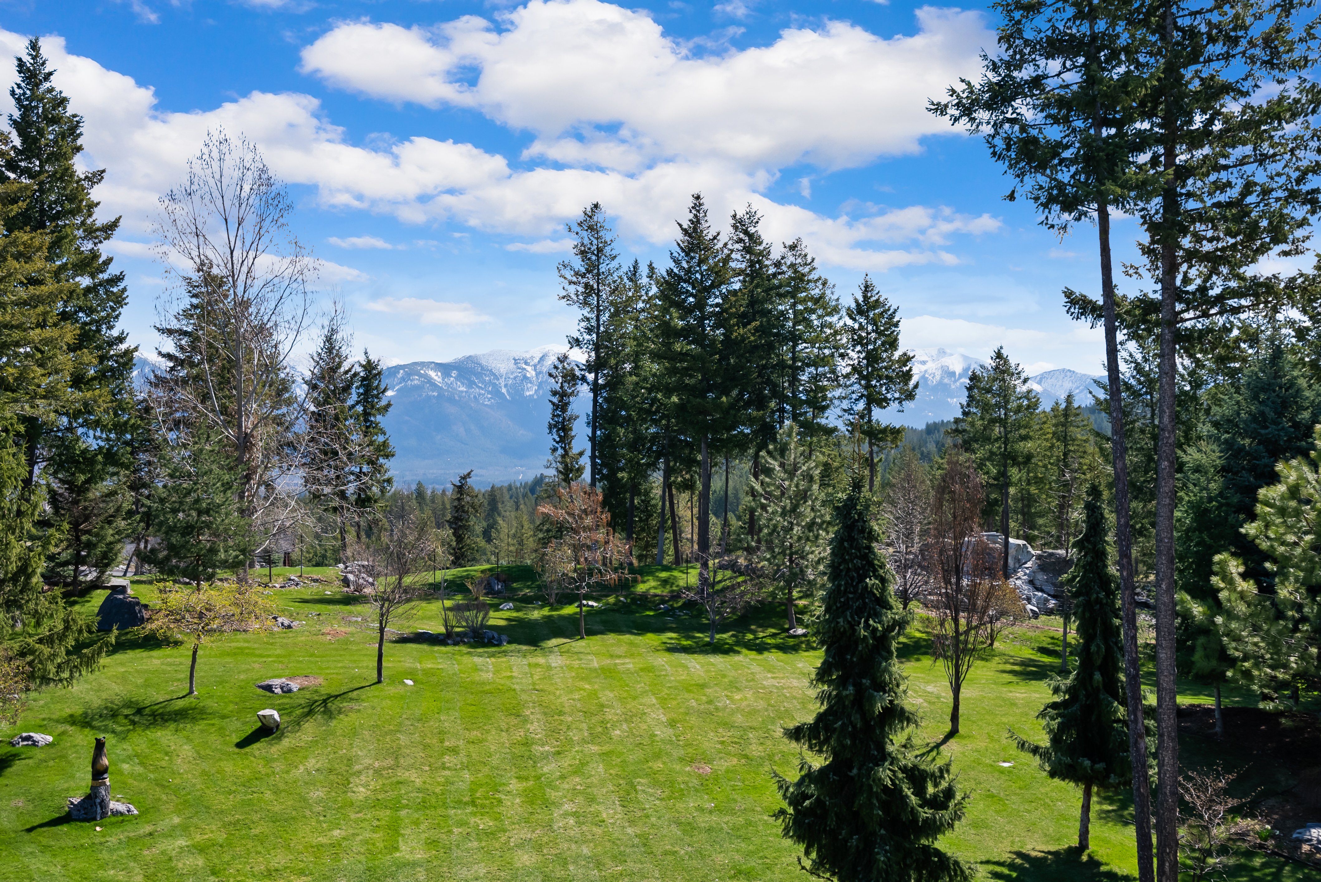 50-OmnivistaPro -1424 Cygnet Trail-50