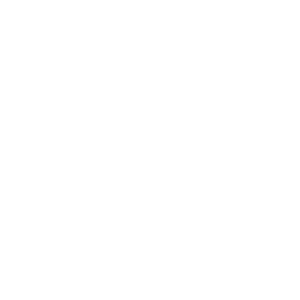 acerinox_logo_wht2