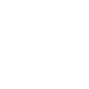 siemens_logo_wht