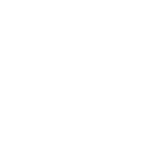 toyota_logo_wht2